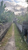 Bali Asli Guest House by EPS