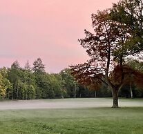 Les Hayes en Sologne