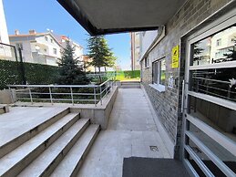 Masha Suite