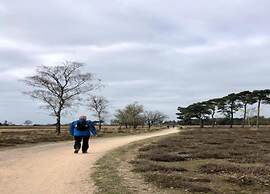 Chalet Near Eindhoven With Private Sauna