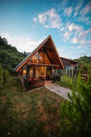 Green Yazıcı Villa's
