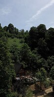 Thomas Hut