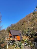 Thomas Hut