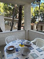 sfinal residence