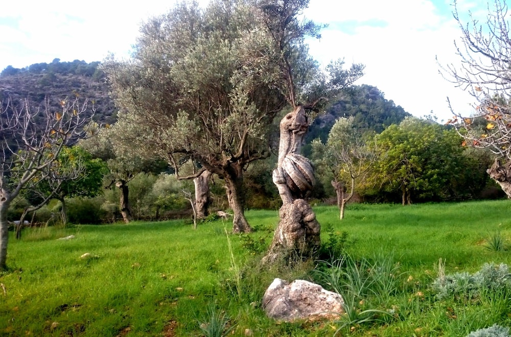 Ca Na Carme Alaronera