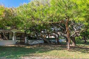 Villa Franciscus in Mallorca