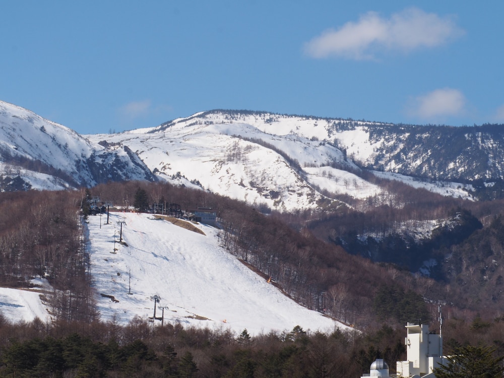 BUNA KUSATSU
