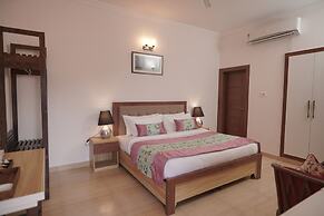 Amritara Kasauli kollections