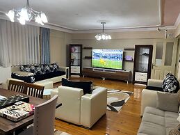 Alida Home