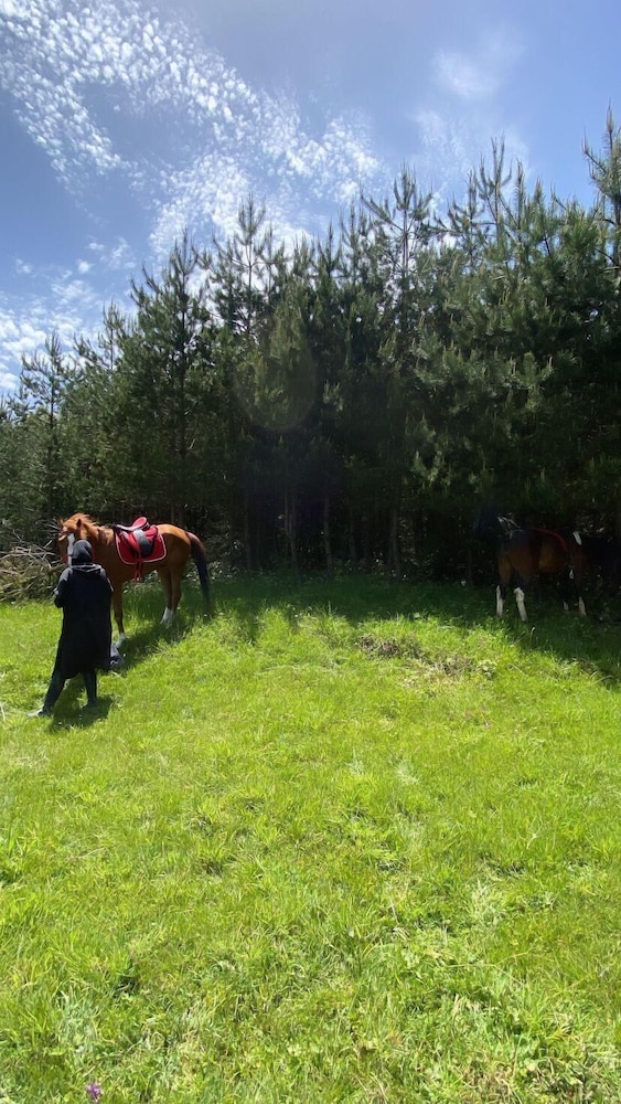 Candarlı Çiftliği