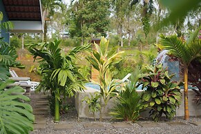 Root Wellness Arenal