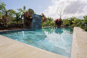 Root Wellness Arenal