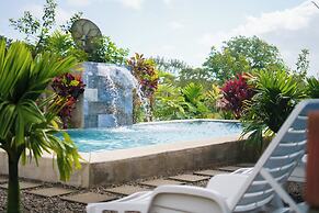 Root Wellness Arenal