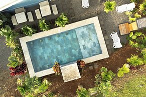 Root Wellness Arenal