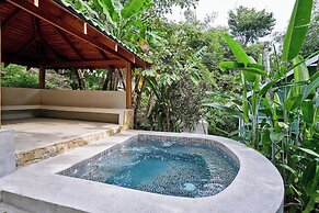 Moana Studio
