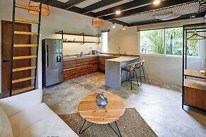 Moana Studio