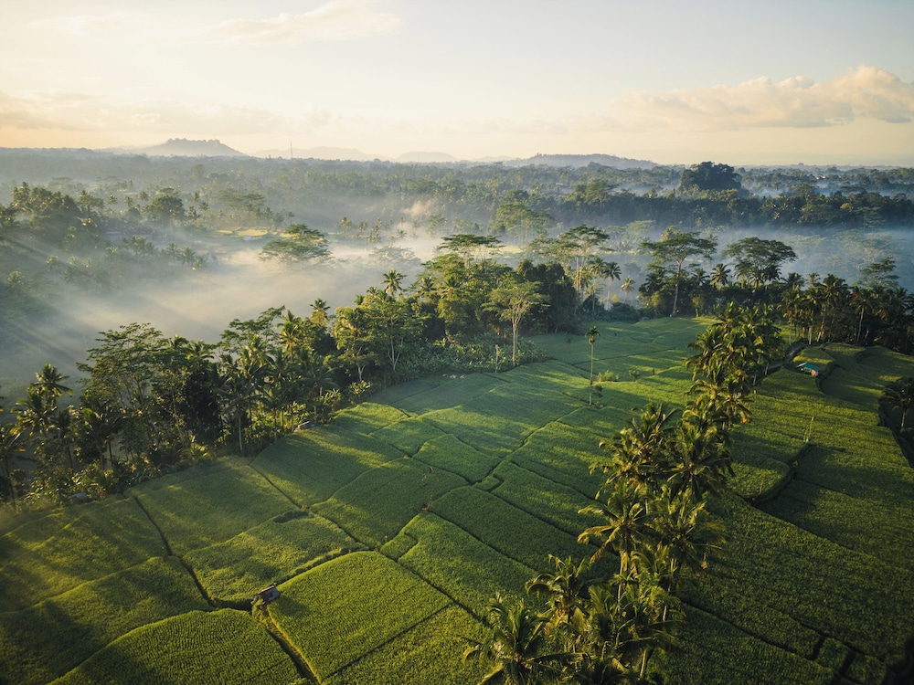 Ubud Mas Glamping Luxury Tent