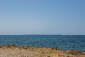 Mosaic in Sa R Pita