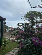 Folia Cunda By Leone