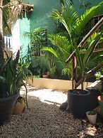 The Secret Garden