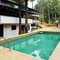 Skyfall Adventures Forest Pool Resort
