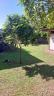 fare pk 2.9 raiateaguest