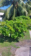 fare pk 2.9 raiateaguest
