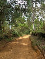 Glamping Volver a la Tierra