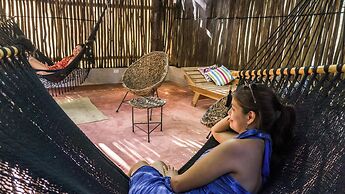 Jungla & Estrellas
