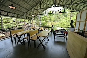 Vythiri Tea Valley