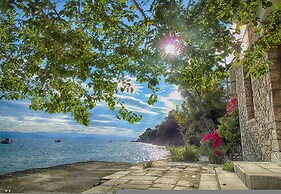 Myrsini's Studios in Chorto Pelion