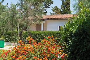 AGRITURISMO SCALELLE