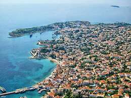 Seaview Splendor - Ostrella Summer Haven