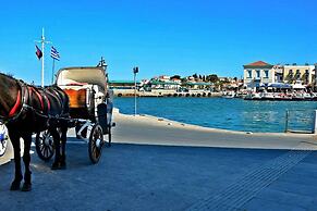 Seaview Splendor - Ostrella Summer Haven