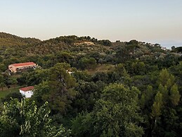 Eagle Nest Skiathos