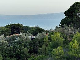 Eagle Nest Skiathos