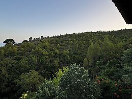 Eagle Nest Skiathos