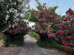 Eagle Nest Skiathos