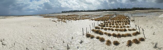 Eden Paradise Zanzibar