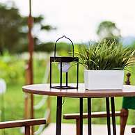 encanto Toscano