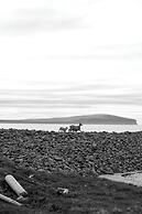 Lónkot
