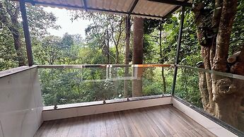 Coorg Jungle Mist