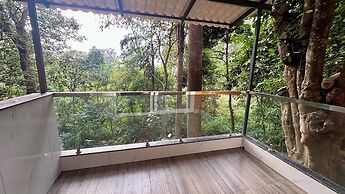Coorg Jungle Mist