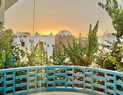 Palma Oasis Hostel