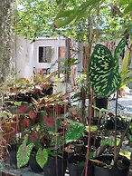 GREENSPACE INN