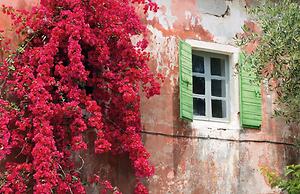 Bay View Bougainvillea Upper