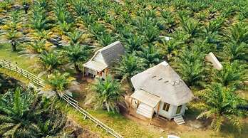 Bugoma sand beach resort hotel