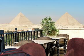 New Gardenia Pyramids View