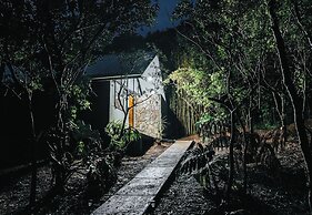 Floresta Monteverde