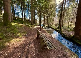 Ferienwohnung mit Balkon im Schwarzwald